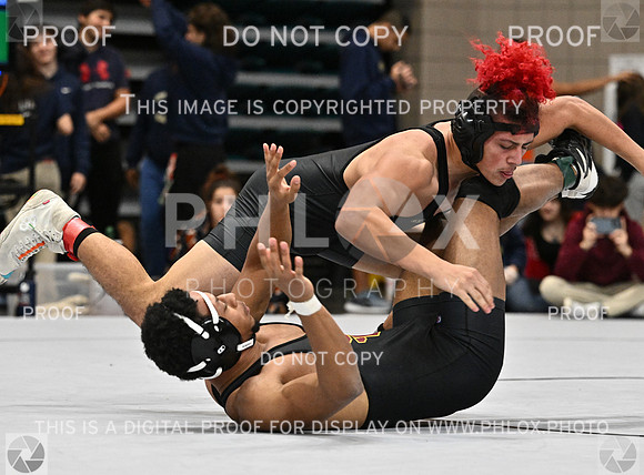 DLS_1217
