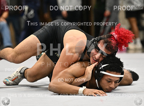DLS_1162