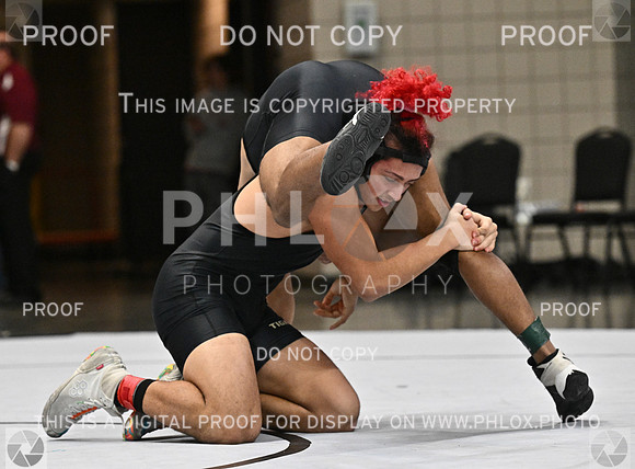 DLS_1144