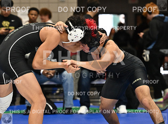DLS_0511