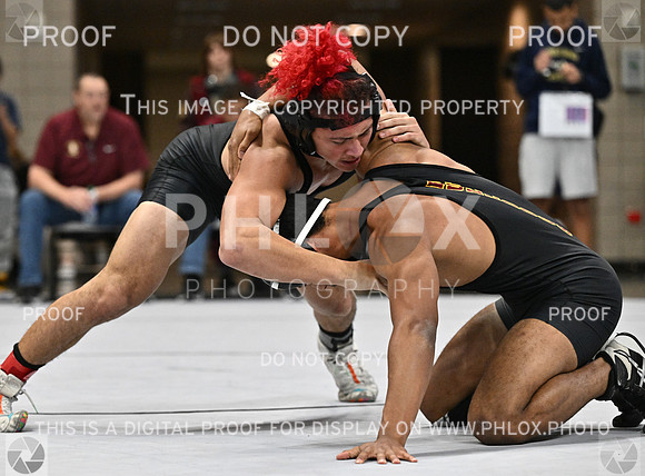 DLS_1232