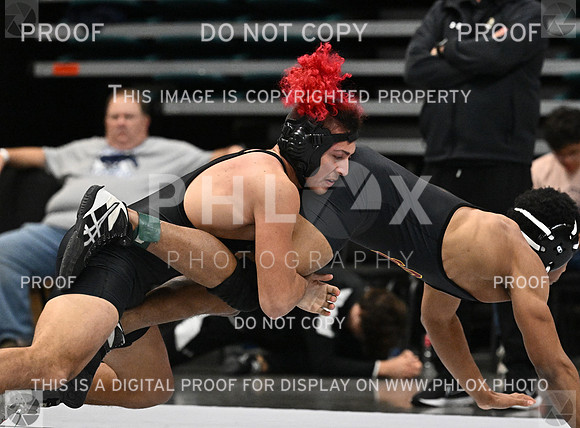 DLS_1149