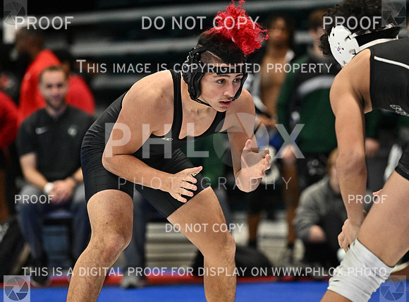 DLS_0549