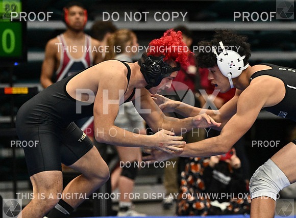 DLS_0513