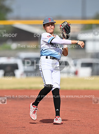 DLS_0797
