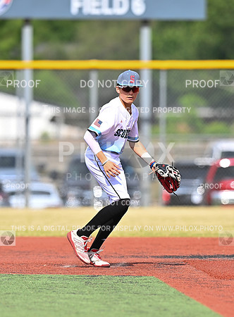 DLS_0801
