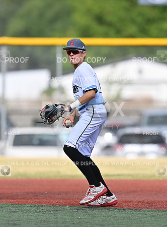 DLS_0806