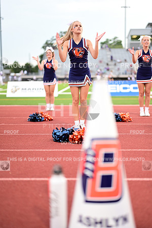 TOM_3095