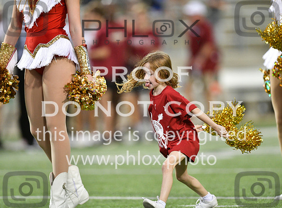 TOM_7308