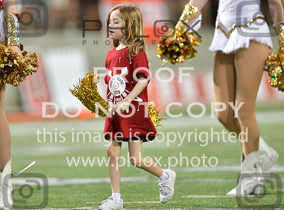 TOM_7298