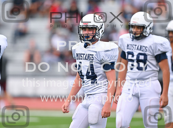 DLS_0969