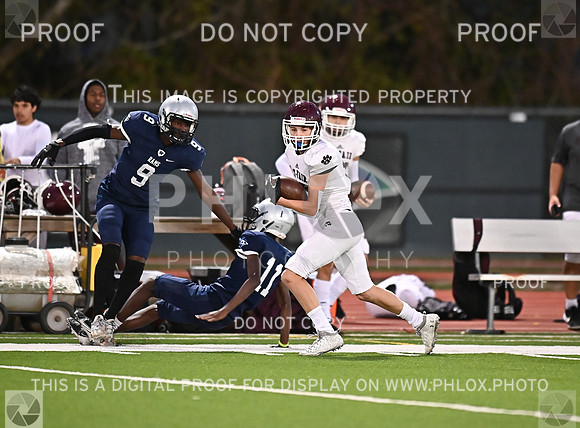 DLS_0536