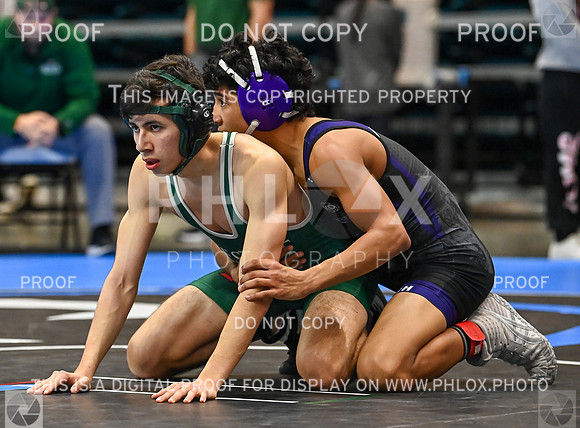 DLS_0680
