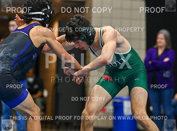 DLS_0722