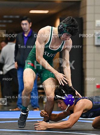 DLS_0731