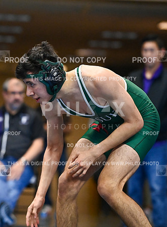DLS_0708