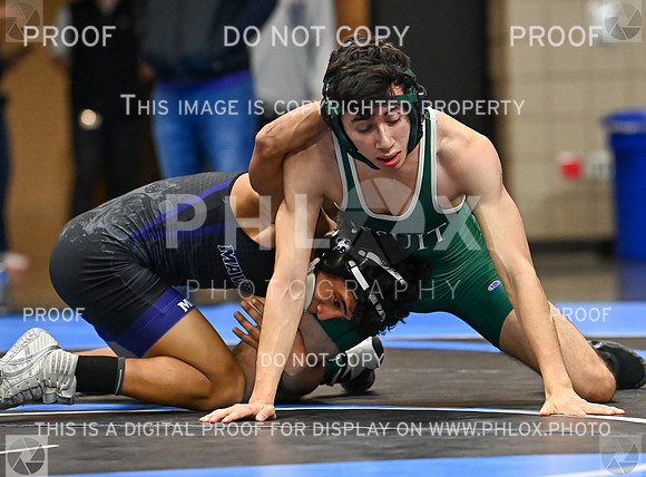 DLS_0716