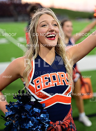 TOM_7308