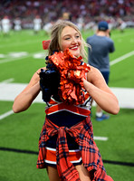 TOM_7292