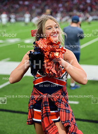 TOM_7292