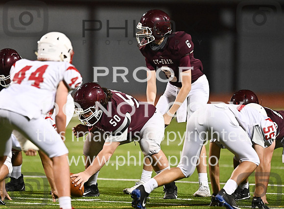 DLS_7173