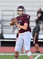 DLS_7875