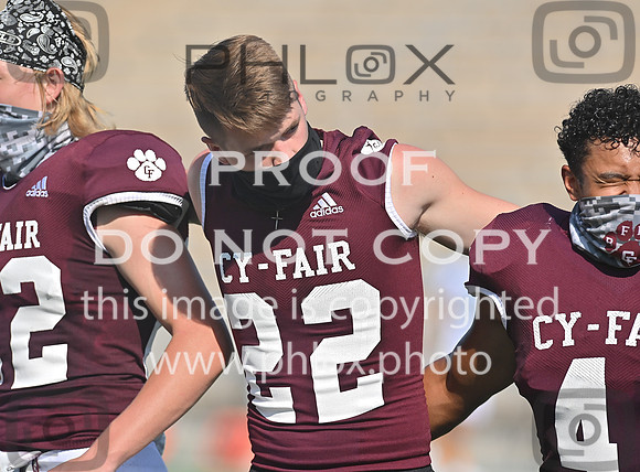 DLS_0681
