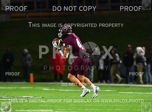 DLS_7925