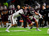 DLS_7954