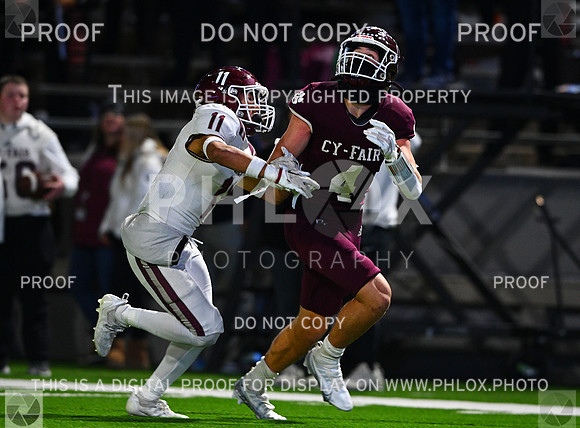 DLS_8714