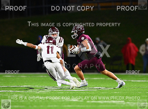 DLS_7928