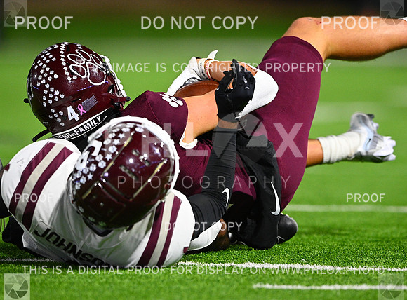 DLS_7632-2
