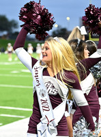 DLS_6239