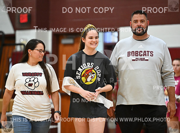 DLS_4433