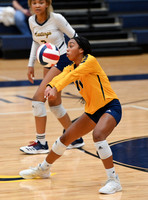 11 Morgan Reedus Cy Ranch Volleyball  9-21