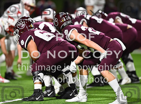 DLS_7935