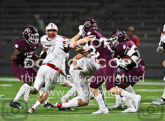 DLS_8299
