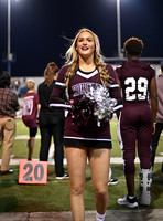 DLS_0077