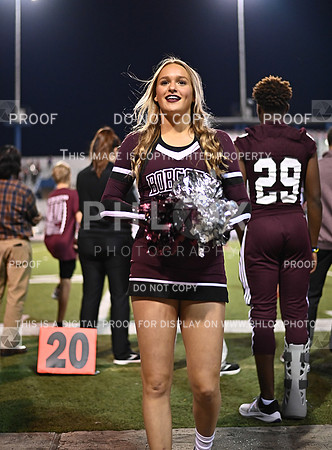 DLS_0077
