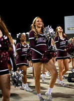 DLS_1217