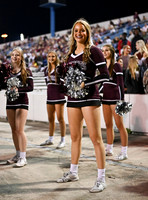 DLS_0601