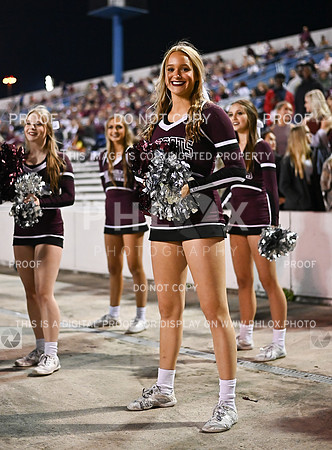 DLS_0601