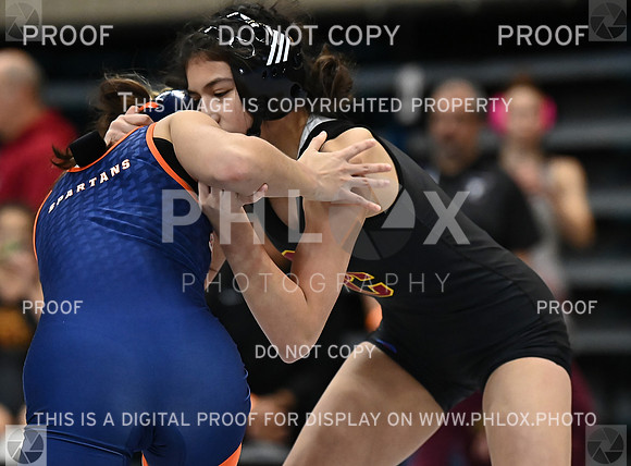 DLS_1082