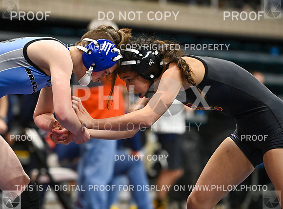 DLS_2355