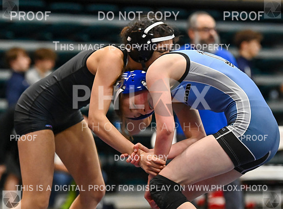DLS_2349