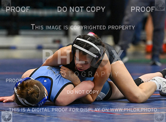 DLS_2292