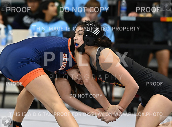 DLS_1097