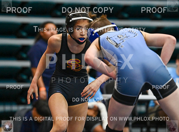 DLS_2315