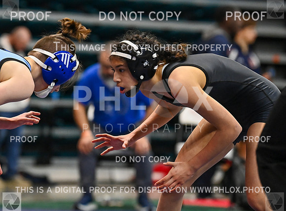 DLS_2326