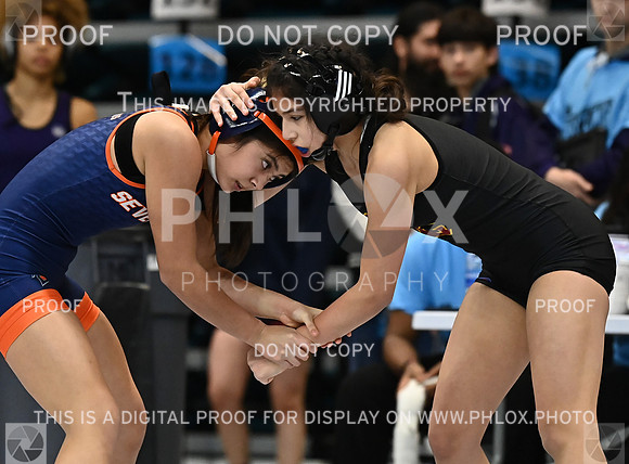 DLS_1092
